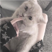 应该女生把脚吵架男生的头像5