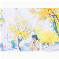 女和小猫的情侣头像12
