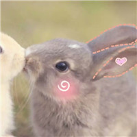 青年生活帅哥头像7