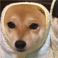 可爱又霸气头像和网名9