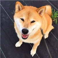 美元情侣头像6