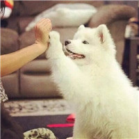 雪人兄弟单人头像图片大全6