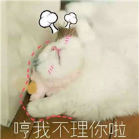 qq头像女生真人搞怪6