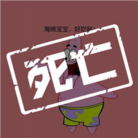 我的头像是猫3