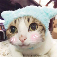 全黑色头像说明8