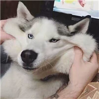 烧烤图片做头像有哪些11