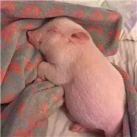 qq头像女生伤感头像5