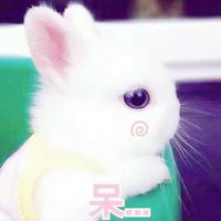 qq男生动画霸气头像6