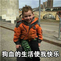 手机头像图片有哪些熊7
