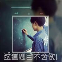 抖音网红王者荣耀头像9