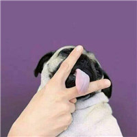 超好看的动画头像抖音3