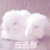 好玩的抖音头像2