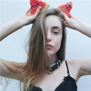 毛猫头像8
