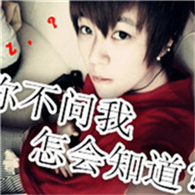 仙女裙发型11