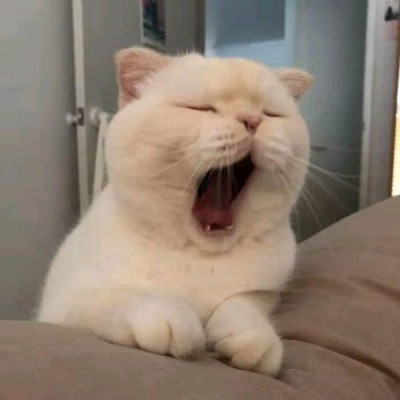 王者永不换的好看头像7