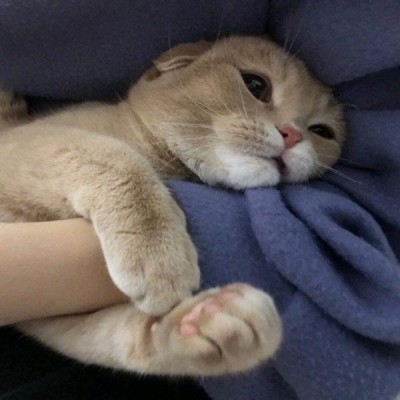 电脑桌面帅哥3