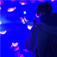 2025超火的男生头像动漫12