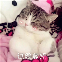 动漫画风女生可爱头像5