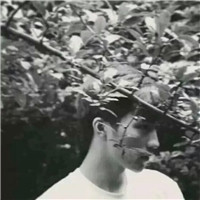 白鹿照片头像搞笑8