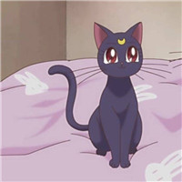 女头像可爱动漫猫咪1