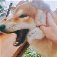 风景头像男生1