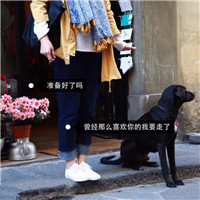 qq头像炫酷篮球明星头像勇士6