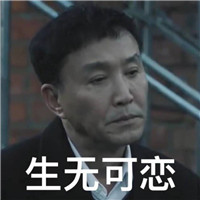 搞笑高冷头像宠物6
