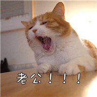 男士风衣黑白头像7