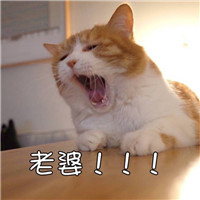 青色头像卡通可爱图片3