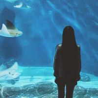 qq群伤感头像7