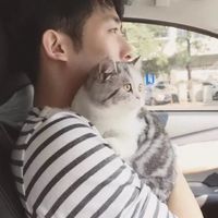 老奶奶老爷爷头像情侣8