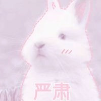 好看头像m8