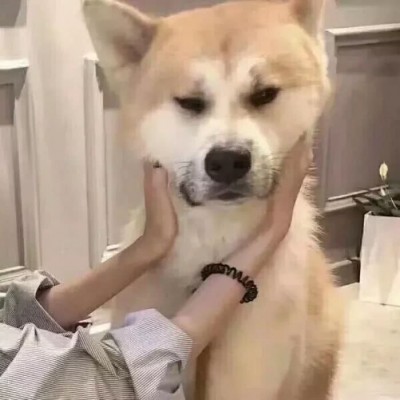 微信头像位置10