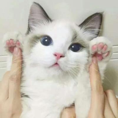 好看经典的微信头像8