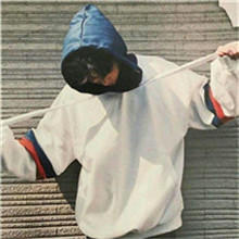 罗加是啥14