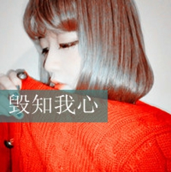 头像动物搞笑柯基2