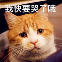 50岁帅哥微信头像1