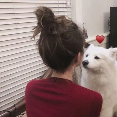 qq动态头像gif7