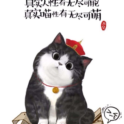 玫瑰头像唯美图集9