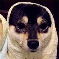 咖啡的头像 女生11