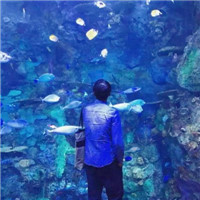 搞笑头像 很搞笑12