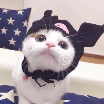 微信女霸气头像jk1