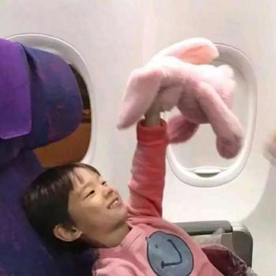 微信头像仙人掌3