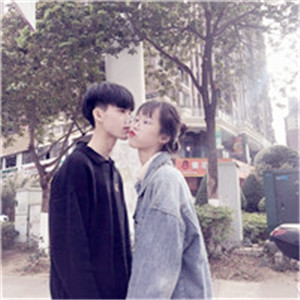 qq头像经典鸡5