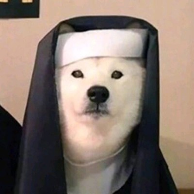 哪些微信名词会下头像雨7