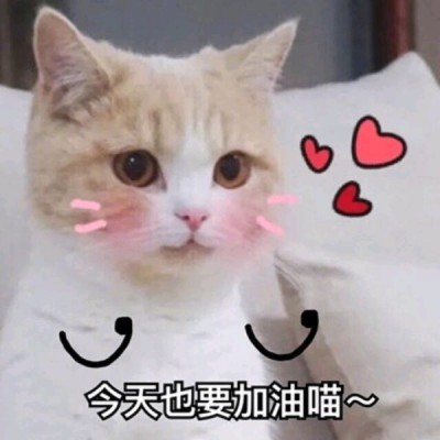 半头像女生4