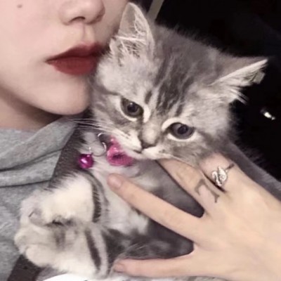 牛年董姓微信头像图片9
