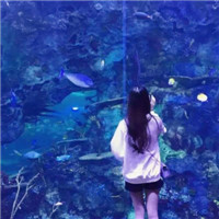 一张灰色头像1