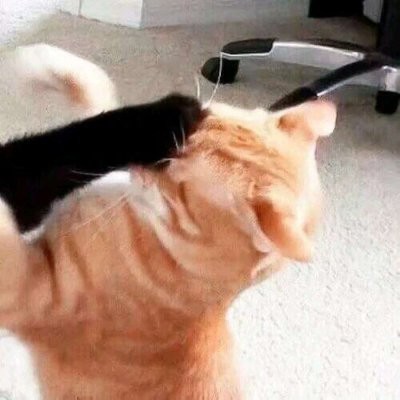 沙雕姐妹头像搞笑9