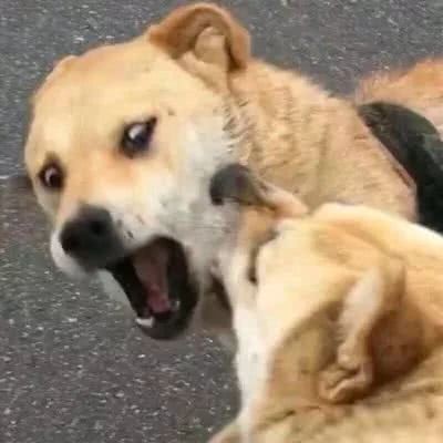 网络男生头像男1